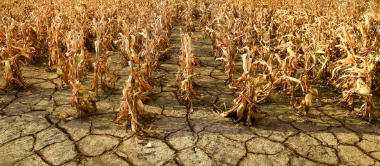 Déduction pour épargne de précaution : les plafonds 2026