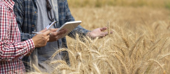 Non-salariés agricoles : des cotisations dues pour une année entière